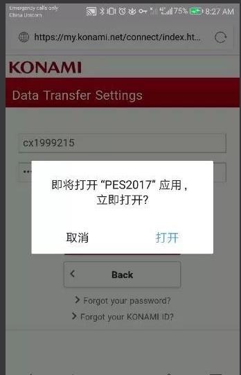 实况足球图片12