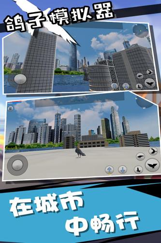 鸽子模拟器手机版 免费安卓版v1.0.0截图0