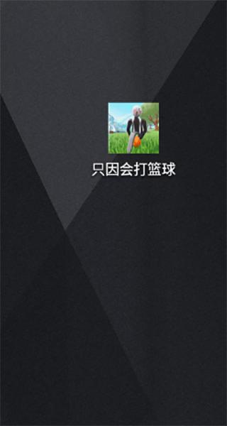 只因会打篮球3