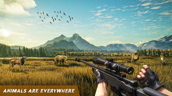 野生射击狩猎游戏 (Wild Shooting Hunting Games 3d)安卓版v1.0.19截图3