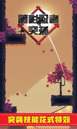 暗影忍者突袭截图1
