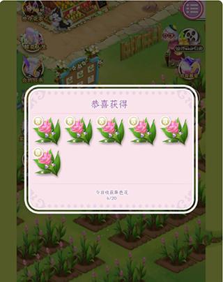 鲜花小镇图8