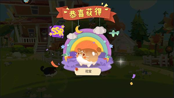 猫咪公寓212