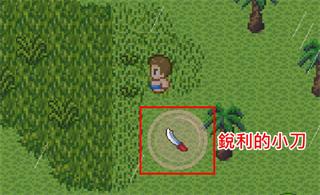 无人岛大冒险226