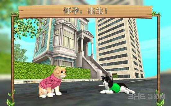 猫咪生存模拟器汉化版 安卓中文版v1.9截图1