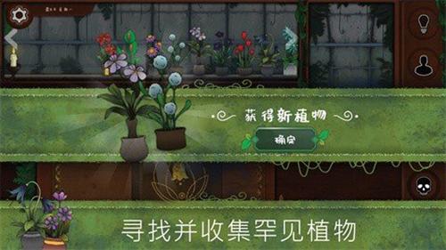 奇异园艺手游 安卓版v1.1.591截图2