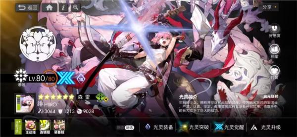 白夜极光图片9
