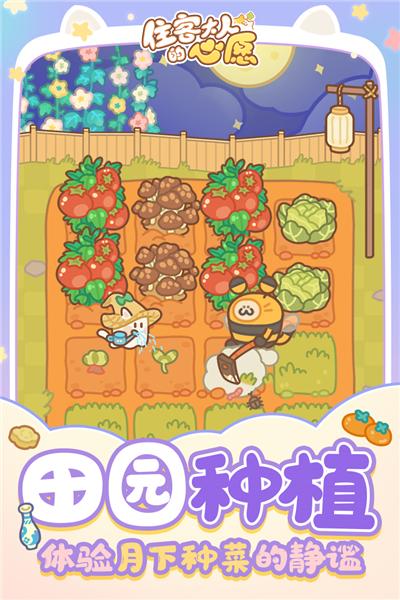 住客大人的心愿官方正版 安卓最新版v1.1.0截图0