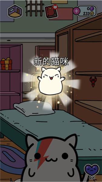 小偷猫11