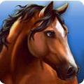马匹旅馆 (HorseHotel)安卓版V1.2.3