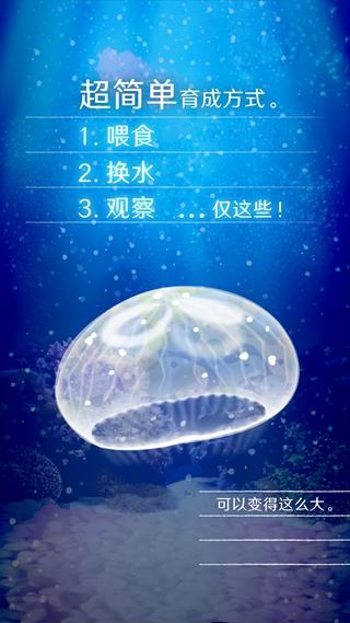 养育水母的治愈 安卓版v5.1截图3