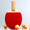 虚拟乒乓球 (Virtual Table Tennis)安卓版v2.3.17