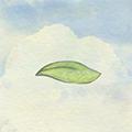 风子手游 (Miss Wind)安卓正版v1.5.9
