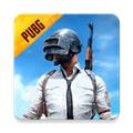 BETA PUBG MOBILE 国际测试服最新版v3.5.1
