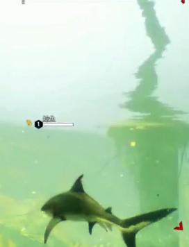 轻松水族馆1