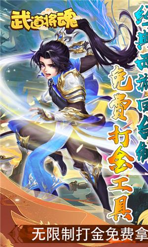 武道将魂截图0