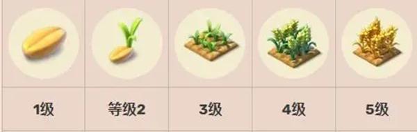 奇幻小岛8