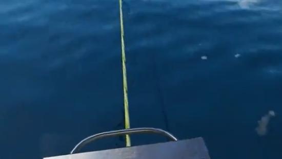 海钓高手游戏