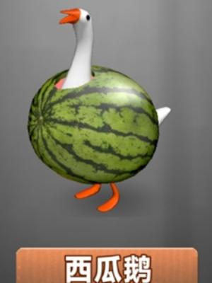 抓了个鹅11