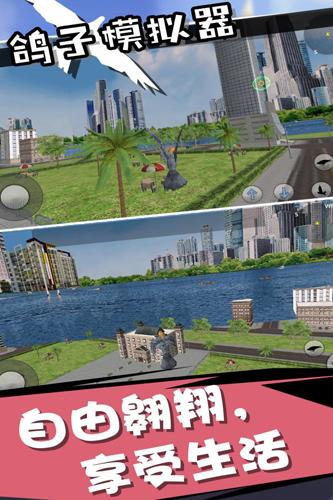 鸽子模拟器手机版 免费安卓版v1.0.0截图3