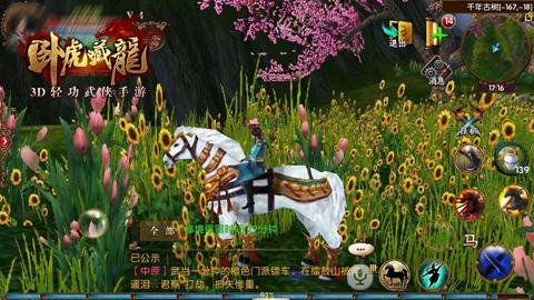 卧虎藏龙vivo版图片8
