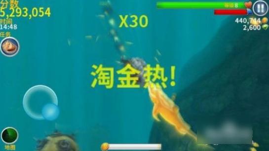 饥饿鲨进化图片8