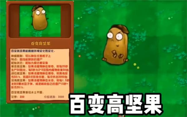 植物大战僵尸图片13