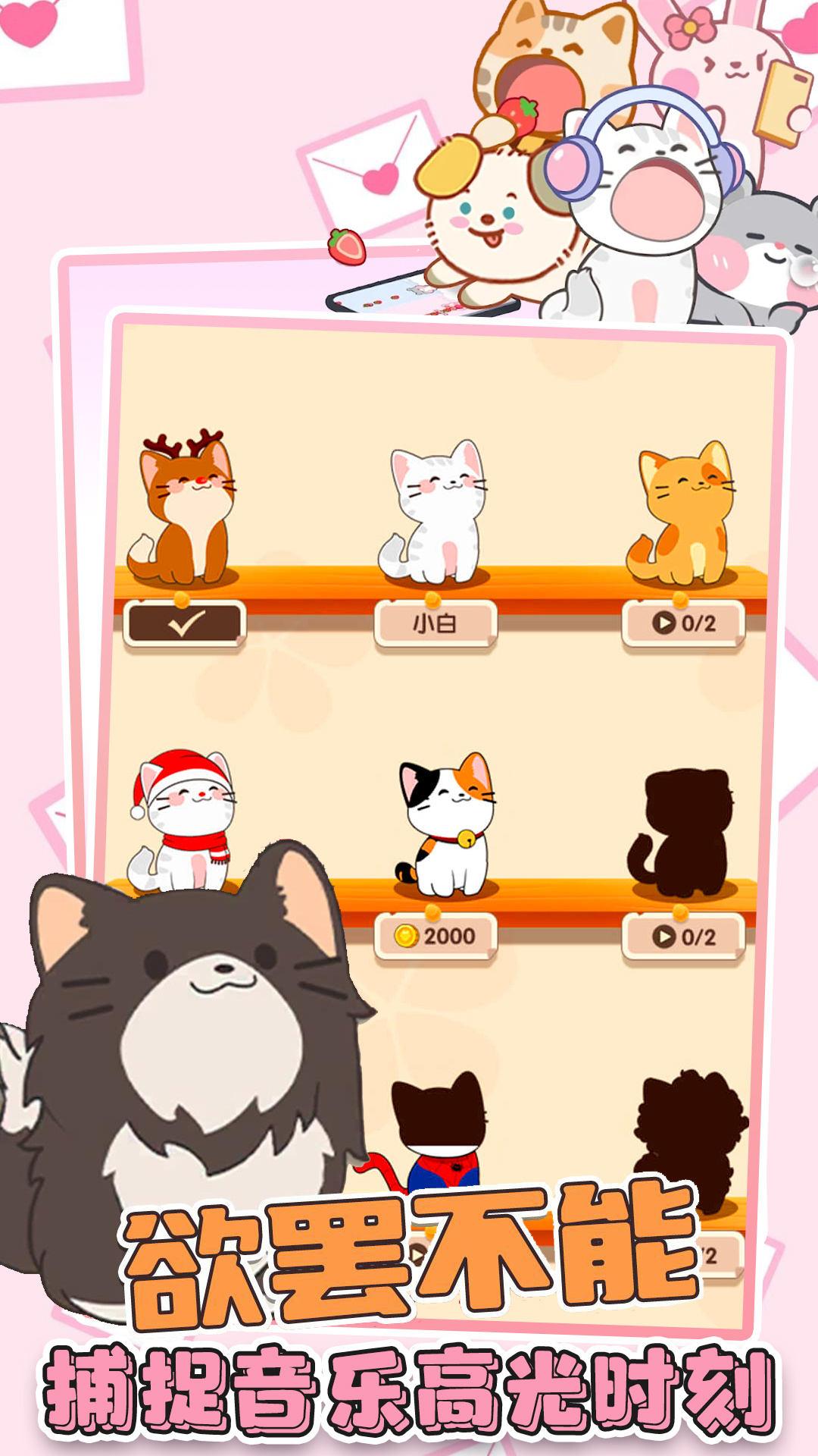 猫咪音乐双重奏截图3