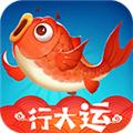 我要钓锦鲤游戏 最新版v1.0.0