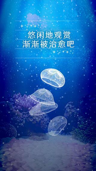 养育水母的治愈图片2