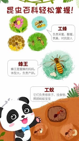 奇妙昆虫世界宝宝巴士 安卓官方版v9.81.00.00截图1
