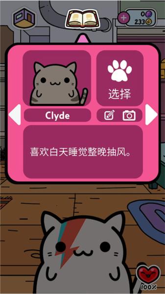 小偷猫14