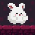 飞翔的兔子 最新版v1.2.3