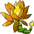 植物大战僵尸融合版泳池版 安卓版v2.1.3