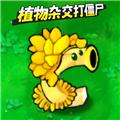 植物变异打僵尸游戏 安卓版v1.0