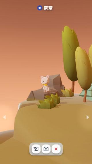 亲爱的猫咪4