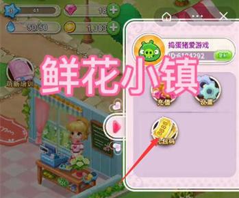 鲜花小镇图15