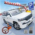 真实3D模拟停车 最新版v2.8