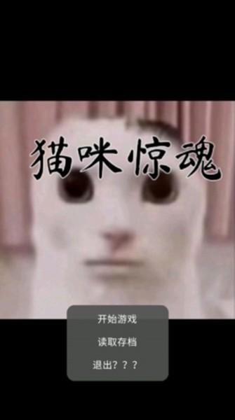 猫咪惊魂 安卓版v0.10截图0