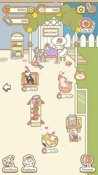 猫咪温泉2