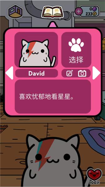 小偷猫13