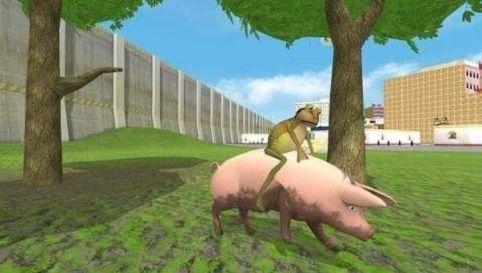 神奇的青蛙完整版截图1