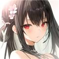 星光传奇 (Starlight Saga)安卓版v1.1.00