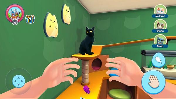 我的宠物猫模拟器免广告领取奖励版 安卓修改版v1.3.2截图3