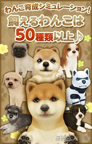 掌上狗狗 安卓版v3.8.3截图0