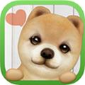 掌上狗狗 安卓版v3.8.3