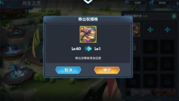 遇见龙5