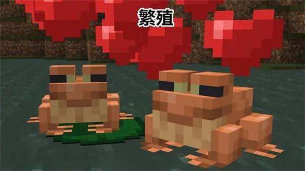 Minecraft1.19国际版图片5