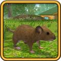 疯狂地鼠城 正版v3.5.1