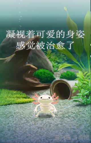 治愈的蝾螈育成游戏 安卓版v1.7截图2